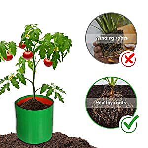 Terrace Gardening Leafy Vegetable Grow Bag (9X 9 Inches, Green) - Pack of 1