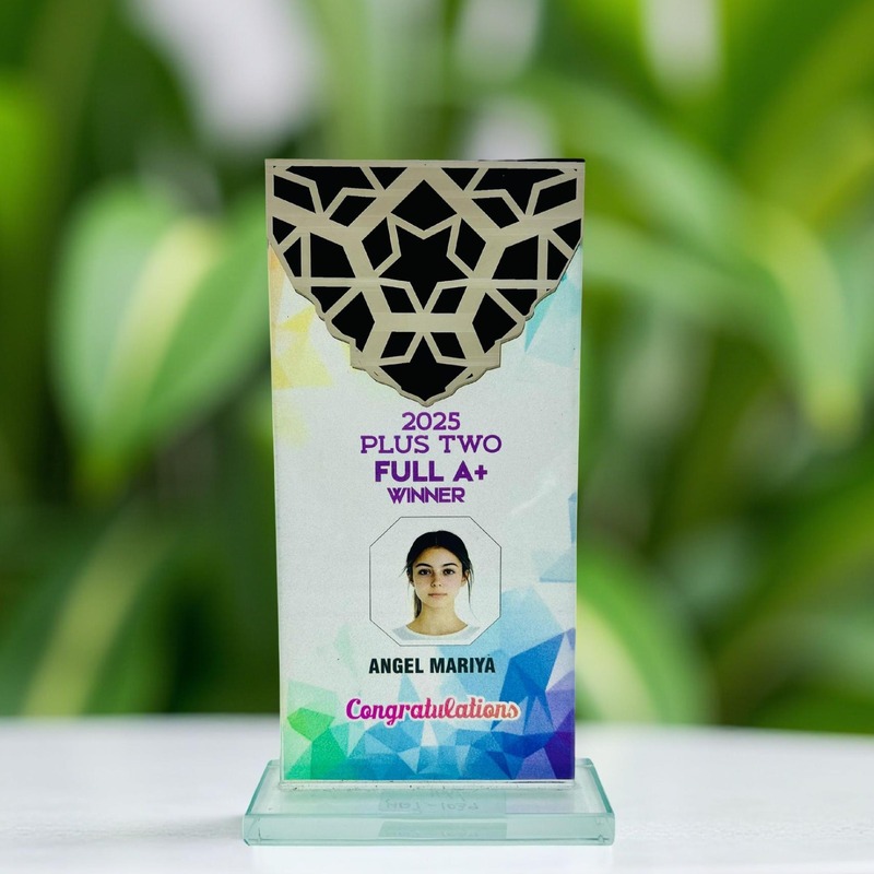 HAT-1039 23CM (5MM) 18%