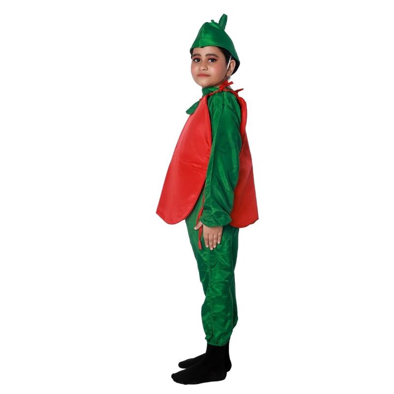 Apple Fancy Dress Costume Apple Fancy Dress Costume