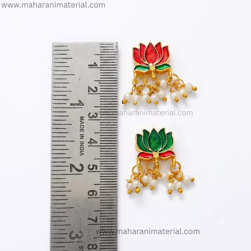 Meena Lotus Loreal | Big