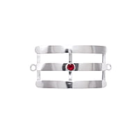 Sterling Silver Tripundra/Vibuthi Pattai