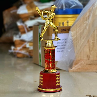 RC-PP1401TC 30CM RED