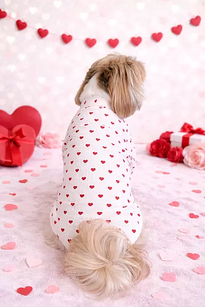 White Valentine Shirt