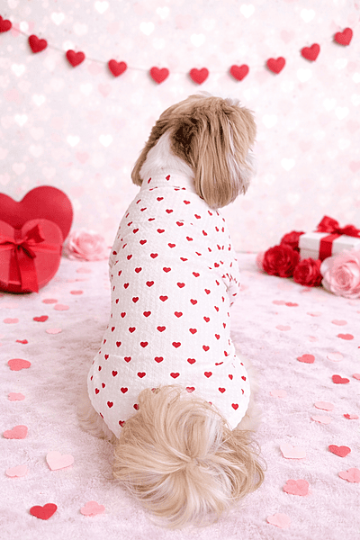 White Valentine Shirt