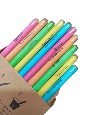 Color Paper black lead Pencils Eco-Friendly Pencil for Kids School |wood-free pencils Box (pack of 10)