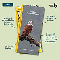 Pan-India Pocket Guides Kit Pan-India Pocket Guides Kit