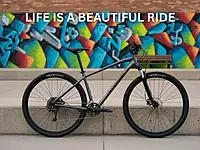 Cannondale Trail 5