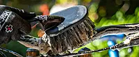 Muc Off 5 Brush Set