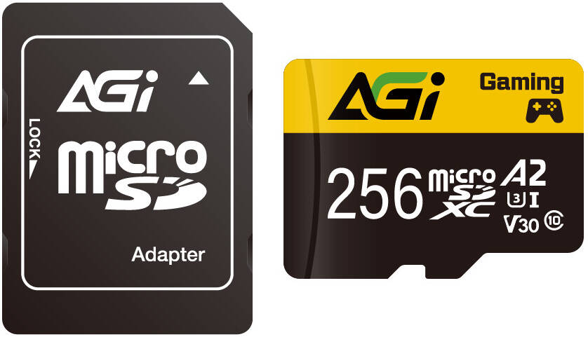 AGI Supreme MicroSDXC Memory Card, 256 GB, TF138