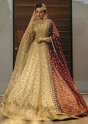 North Indian traditional Wear