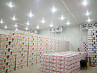 Temperature-Controlled Storage for Fruits & Vegetables