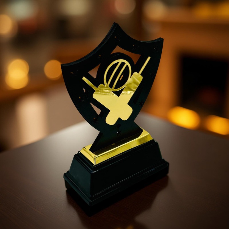 RC-WL4668 CRICO 6 22CM (8MM)