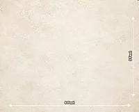 Aged Cream Plaster Texture