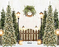 Christmas Tree Farm