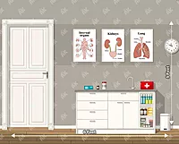 Future Doctor (PRE-ORDER)