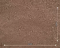 Light Soil Floor (PRE-ORDER)