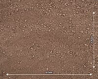 Light Soil Floor (PRE-ORDER)