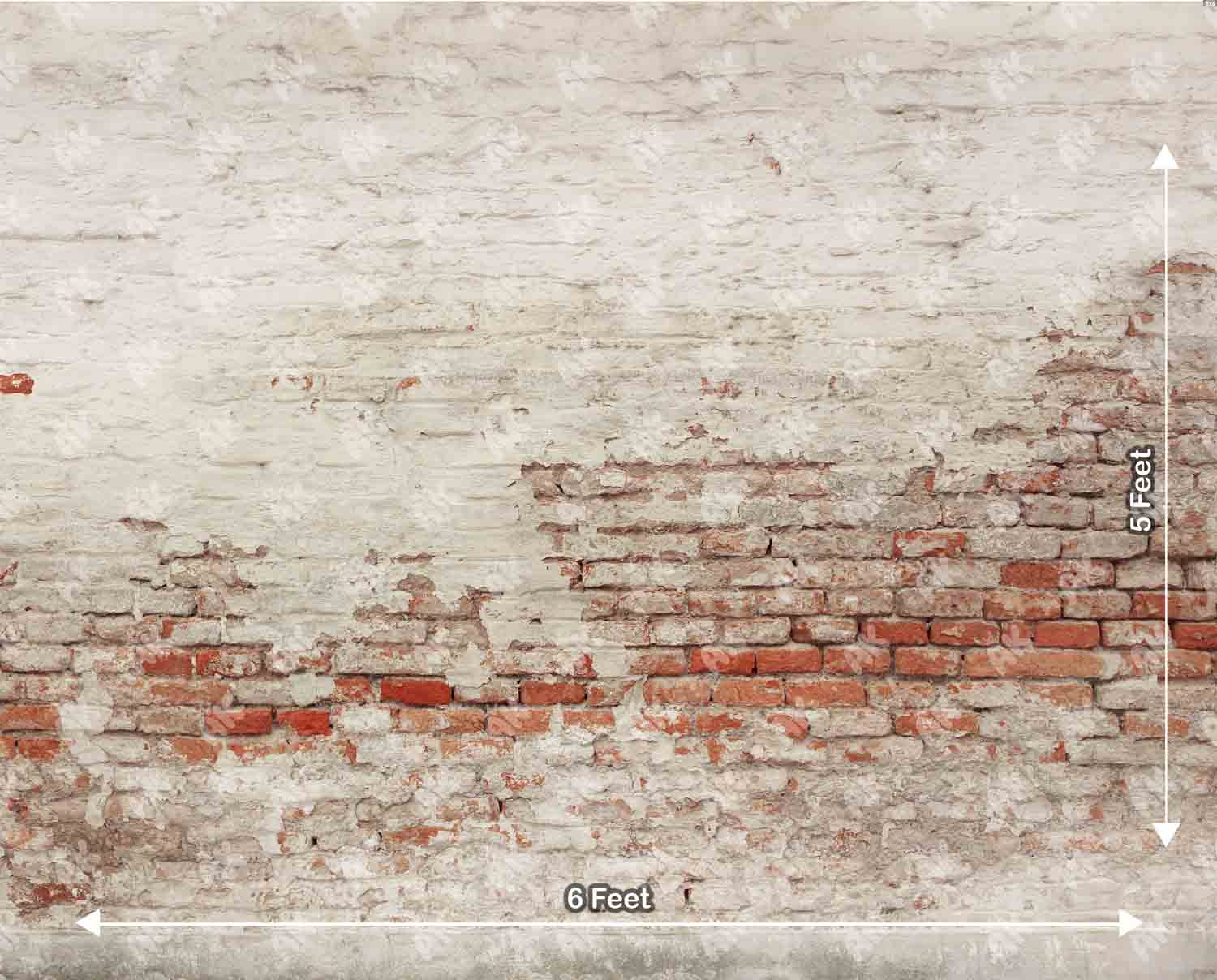 Old Brick Wall (PRE-ORDER)