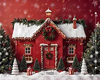 Red Christmas House (PRE-ORDER)