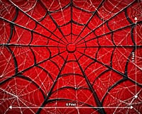 Spider Nexus