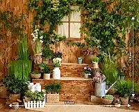 Spring Backyard (PRE-ORDER)