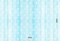 Blue Wood Planks (PRE-ORDER)