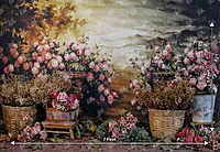 Dogwood Garden (PRE-ORDER)