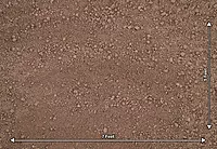 Light Soil Floor (PRE-ORDER)