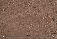 Light Soil Floor (PRE-ORDER)