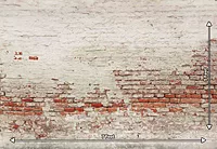 Old Brick Wall (PRE-ORDER)