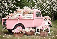 Pink Petal Parade (PRE-ORDER)