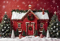 Red Christmas House (PRE-ORDER)