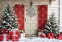 Snowy Cottage Door (PRE-ORDER)