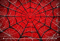 Spider Nexus