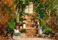 Spring Backyard (PRE-ORDER)