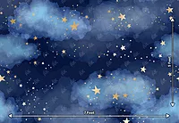 Starry Night Sky (PRE-ORDER)