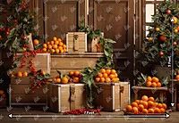 Tangerine Fresh (PRE-ORDER)