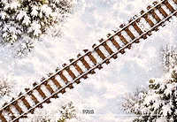 Train Track