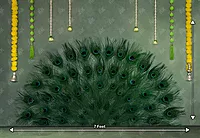 Peacock Feather (PRE-ORDER)