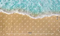 Beach Type 1 (PRE-ORDER)
