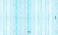 Blue Wood Planks (PRE-ORDER)