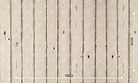 Cream Wood Planks (PRE-ORDER)