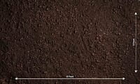 Dark Soil Floor (PRE-ORDER)