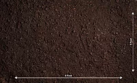 Dark Soil Floor (PRE-ORDER)