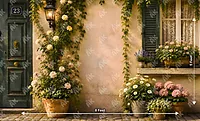 French Lane (PRE-ORDER)