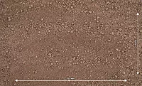 Light Soil Floor (PRE-ORDER)
