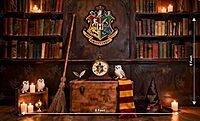 Magic Library (PRE-ORDER)