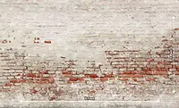 Old Brick Wall (PRE-ORDER)
