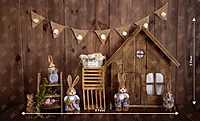 Peter Rabbit Party (PRE-ORDER)