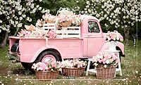 Pink Petal Parade (PRE-ORDER)